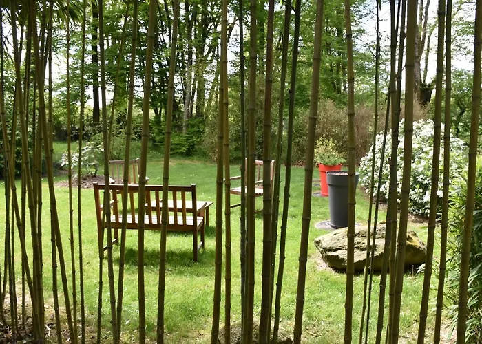 Le Bois Du Drillais Penzion 3*